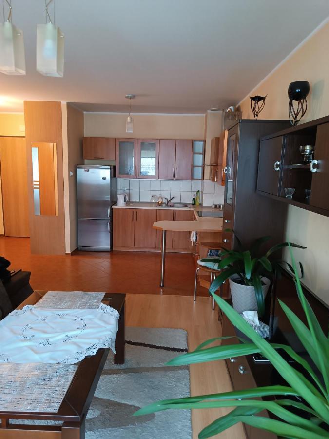 Lägenhet Apartament Zakoniczyn Dla 4 Osob